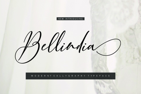 Bellindia Script: A Font for Crafting Beautiful, Handwritten Designs
