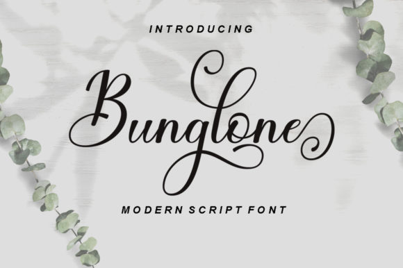Bunglone: The Font That Elevates Your Campaigns