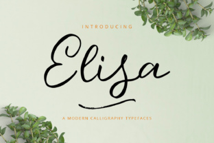 Elisa: A Modern Script Font for Creative Web Design