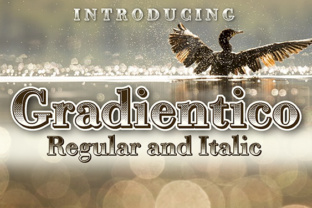 Gradientico: A Serif Font for Bold Visual Storytelling
