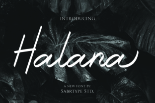 Halana: A Versatile Script Handwritten Font for Designers