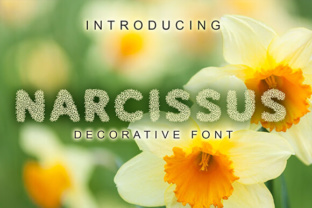 Narcissus: The Decorative Font That Elevates Your Digital Brand