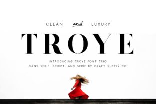 Troye Trio: A Versatile Serif Font for Modern Web Design